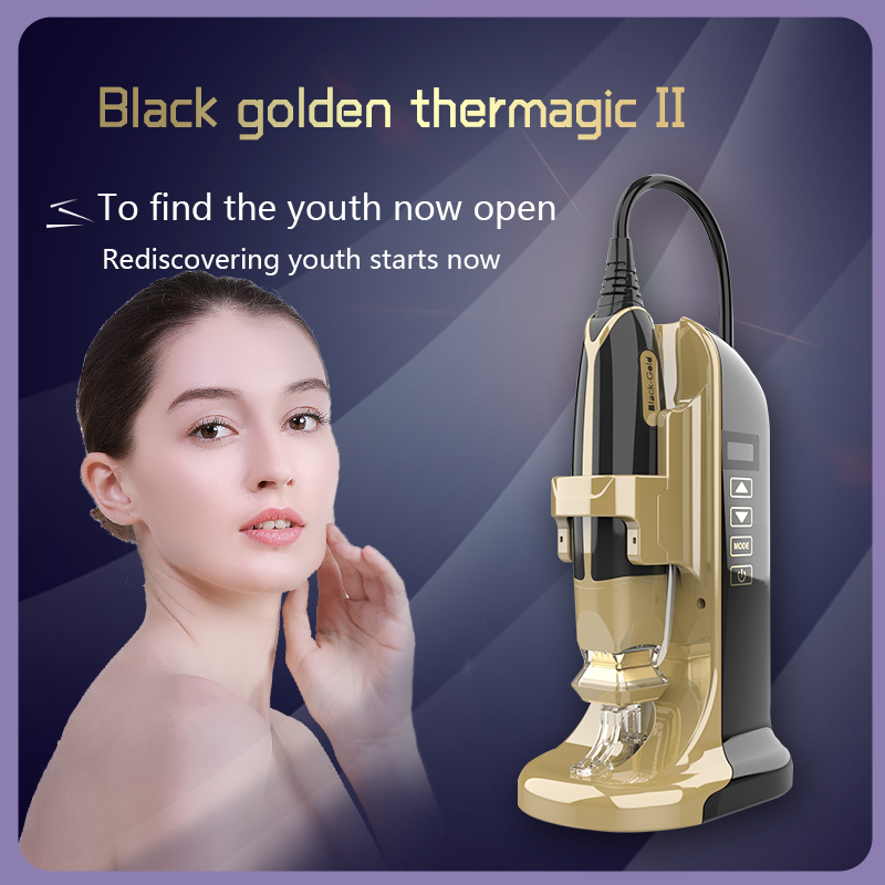 Hot Sale Home Use Beauty Device Skin Tightening Skin Care Rf Machine